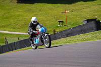 Vintage-motorcycle-club;eventdigitalimages;mallory-park;mallory-park-trackday-photographs;no-limits-trackdays;peter-wileman-photography;trackday-digital-images;trackday-photos;vmcc-festival-1000-bikes-photographs
